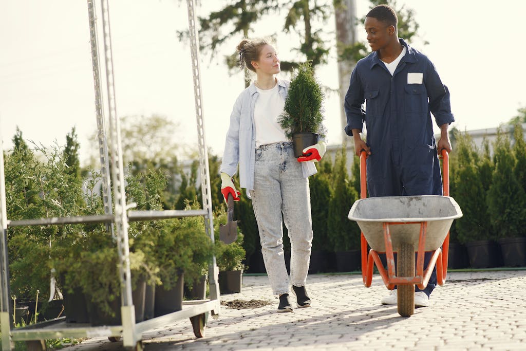 Two gardeners working with plants and wheelbarrow outdoors, collaborating in a garden setting.